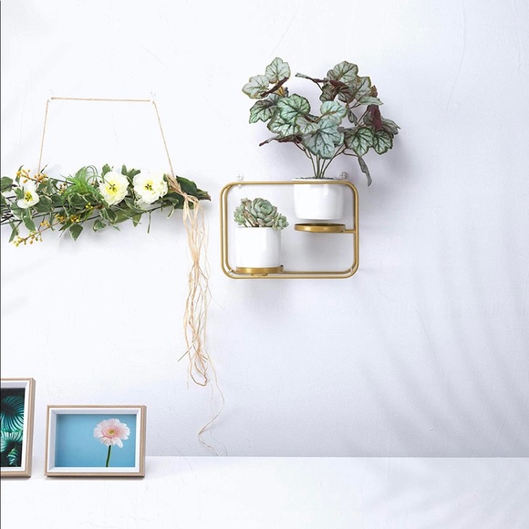 Wall Planters Modern Design Wall Plant Holder - Picture 5 of 7